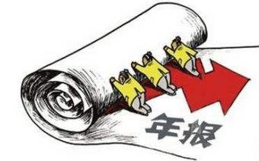 第二類(lèi)增值電信業(yè)務(wù)許可證年報(bào)怎么填？