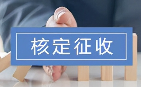 四川核定征收個(gè)人所得稅政策2024，查賬征收VS核定征收